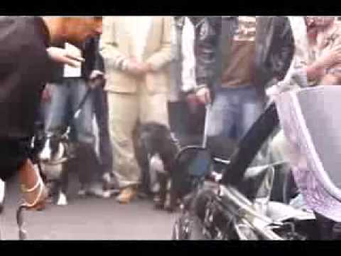 BTM SQUAD   IN DER HOOD VIDEO