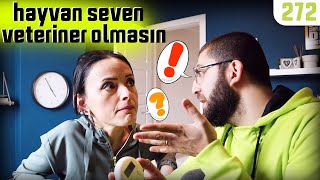 Hayvan Seven Veteriner Hekim OLMASIN! Veteriner Hekim Kimdir? Fakülte 