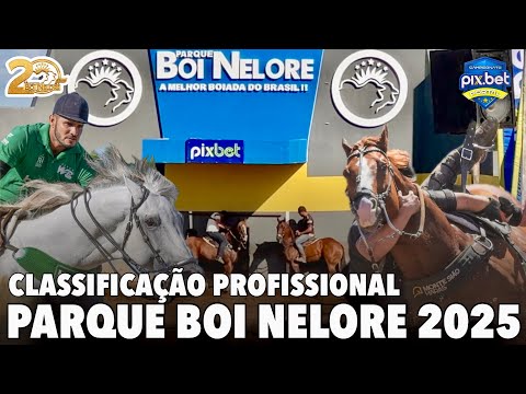VAQUEJADA AO VIVO | CLASSIFICAÇÃO PROFISSIONAL | VAQUEJADA PARQUE BOI NELORE 2025 PORTAL VAQUEJADA