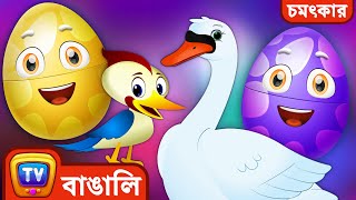 বনে পাখি দেখা আর পাখিদের ডাক চেনা - শিশুদের(Wildlife Birds Magical Surprise Eggs) - ChuChu TV Bangla