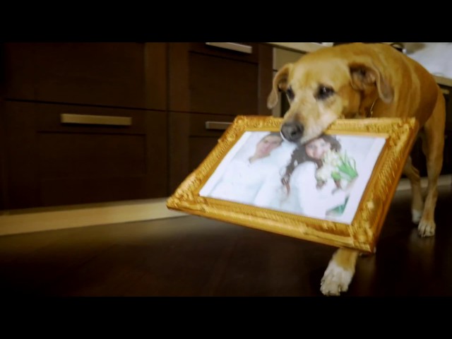 Гүзәл Уразованың яңа клибы чыга!