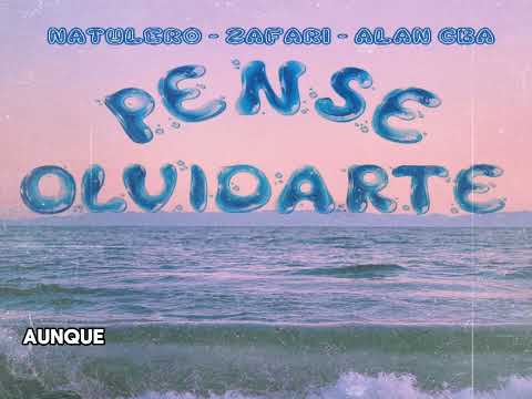 PENSÉ OLVIDARTE - Natulero, Zafari & Alan Cba (Prod. ItsBeymar) audio oficial