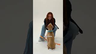 America's "Next Top Model" Photographer Spotlights Adoptable Pitties | The Dodo