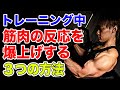 5分でできる【トレーニング中筋肉の反応をあげる3つの方法!】