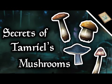 Obsessing Over Tamriel's Mushroom Lore for an Hour - The Elder Scrolls Lore (Ft. Hannah the Hermit)