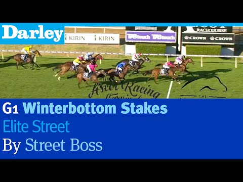 Elite Street by Street Boss wins the G1 Winterbottom Stakes at Ascot