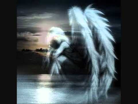 New Romantique Shy Like An Angel