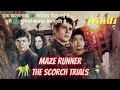 Maze Runner 2 Explained In Hindi Maze Runner The Scorch Trials Maze Runner 2 Ending Explain