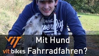 Hund und Fahrrad? ist doch ganz einfach - vit:bikesTV