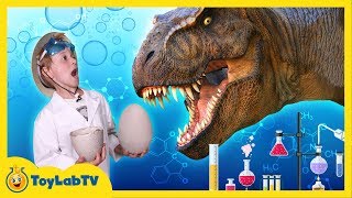 Giant Life Size Dinosaur Eggs Hatch! Dinosaurs &amp; T-Rex Escape from Dino Park in Fun Kids Toy Video