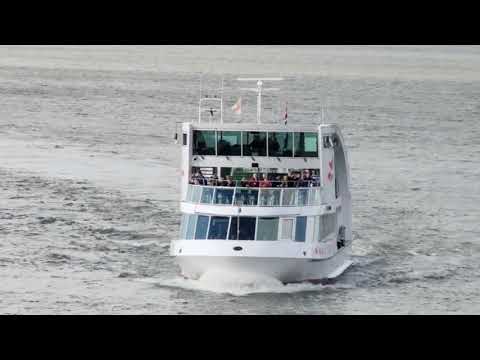 Мечо ментата new 2017