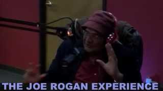 Joe Rogan Experience #334 - Dr. Amit Goswami