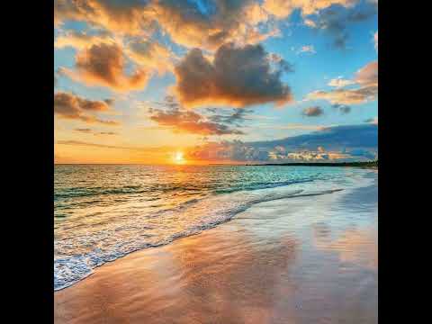 Focus & Lomax - 5 Weeks [2008]