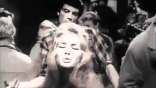 TUMBLEWEEDS by Huffamoose Singer Songwriter Craig Elkins from his forthcoming release &quot;I Love You&quot;