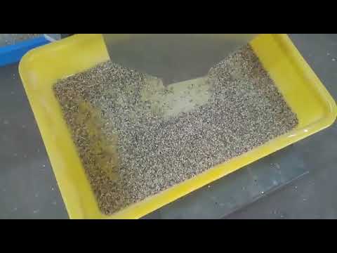 Mosambi Seeds Sorting Machines