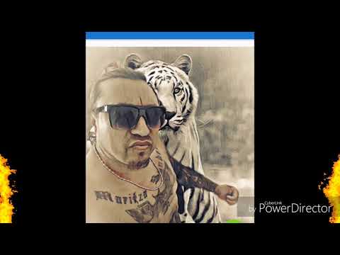 Gran mauri.Alsen los basos en el aire