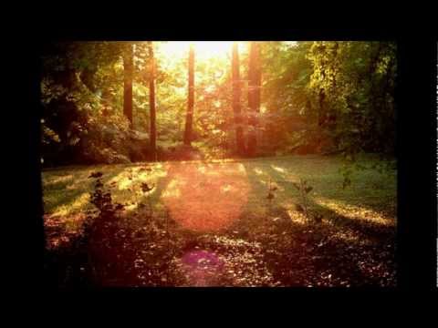 Friedemann Burgdoerfer - Ein mildes Licht