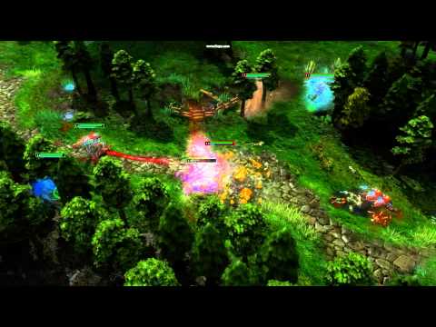 Probusk - Meet The Torturer HoN