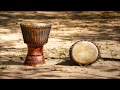 Great Drum Music Bongos For Background Studying Working Out Calm Relaxing