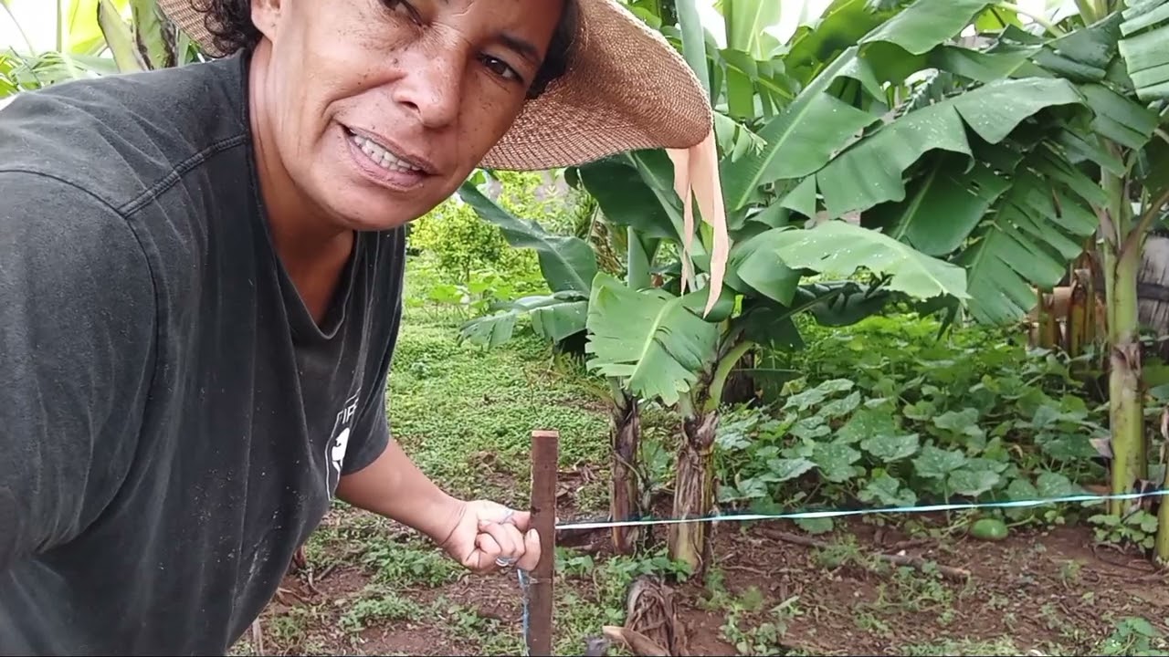 marcação do cantinho dos patinhos