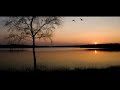 safri duo-apollo