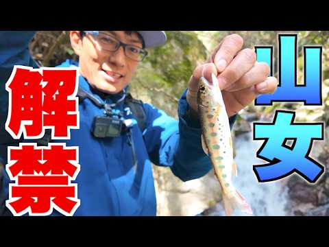 禁止されていた釣りが遂に解禁されました！！