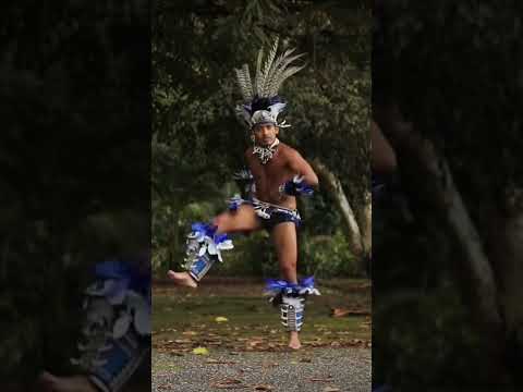 Coreografia Dança dos Tuxauas Boi bumbá Caprichoso - Ananin Dance