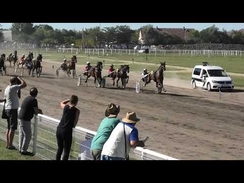 Trka "Yum Commerce-Subotica" 18.08.2019 Pann Keč - Dejan Katanić