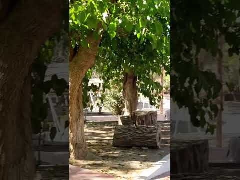 #Camping Andolucas San Blas de Los Sauces La Rioja