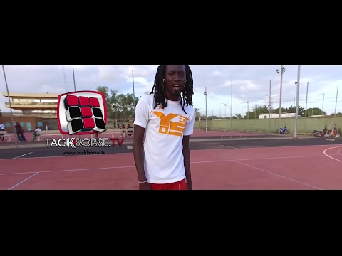 Sa Majesté ASKOY - Jalousie