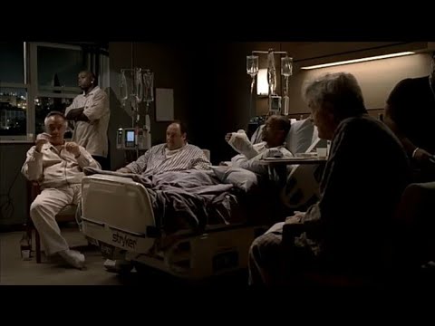 The Sopranos - Tony Soprano makes some new friends in the hospital