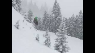 faze tari faza la schi