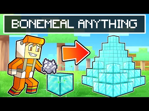 Socksfor1 Minecraft Server