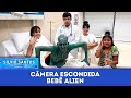 Bebê Alien Baby Alien Câmeras Escondidas 10 03 24