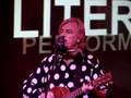 Robyn Hitchcock - Ole! Tarantula