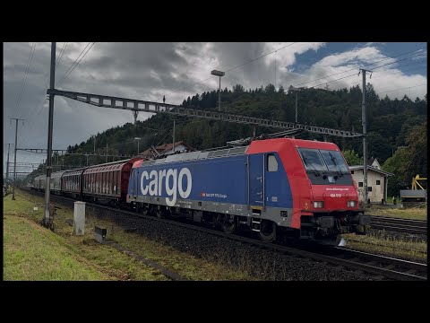 Zugverkehr Bahnhof Hendschiken und Othmarsingen Schweiz 05.09.2025 Trainspotting Teil 1