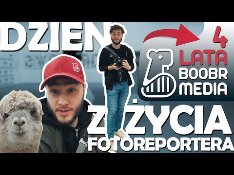 Dzień z życia fotoreportera - alpaki, neony i Metro w Radomiu