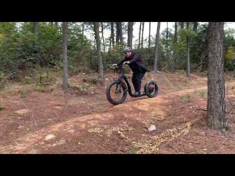 All terrain offroad electric footbike