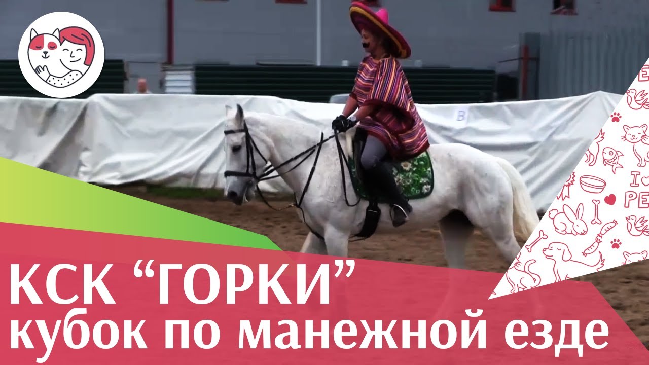 Летний кубок КСК Горки по манежной езде КЮР часть 34 на ilikepet