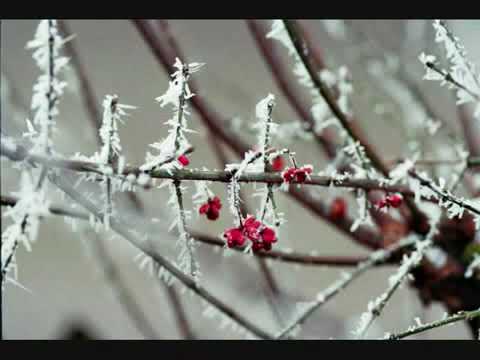 Marc Almond & Ilya Lagutenko - If Your Affectionate Smile Has Gone