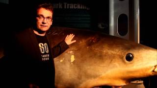 Andy Ridley - I Will If You Will