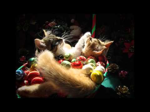 Ivana Kindl - Carobna noc