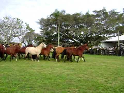 Dia de Campo na Estância Carapuça