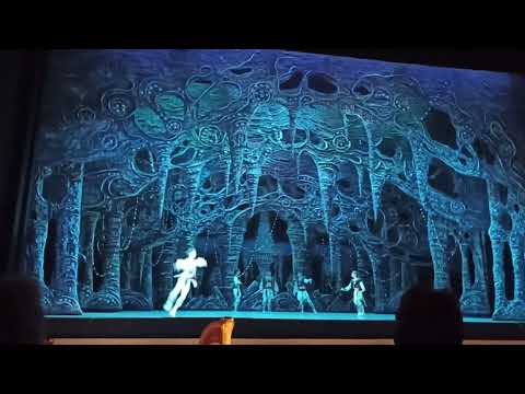 Corsair/ Adan's Ballet / State Mariinsky Théâtre (2)