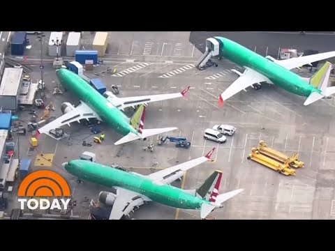 Boeing 737 Max 8 Planes Under Pressure To Be Grounded After Ethiopian Airlines Crash | TODAY