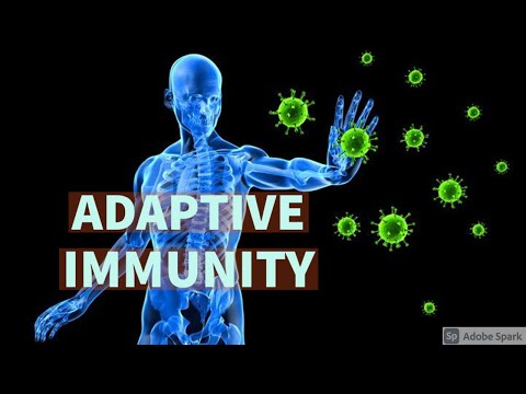 HIV PART 3 II CHAP 6 II ROBBINS 10TH E PATHOLOGY LECTURES II IMMUNE SYSTEM