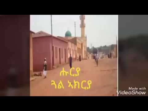 eritrean music krar fgra huruya gal akrya