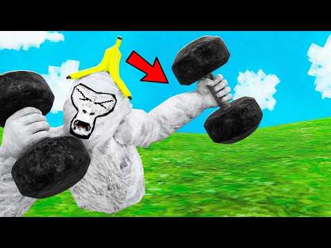 Becoming A Gorilla Tag PRO In 24 Hours!
