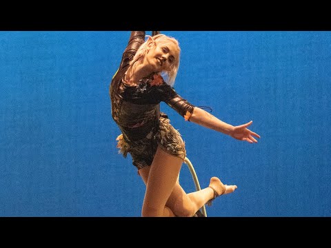 Yggdrasil - Persilly’s adventure