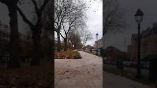 #MINNIEDRIVER DOING A COVER OF #BRUCE SPRINGSTEEN TRACK RUBY ADELINE DANCED FILMED BY Moi